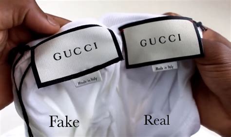 fake gucci shirt puppies